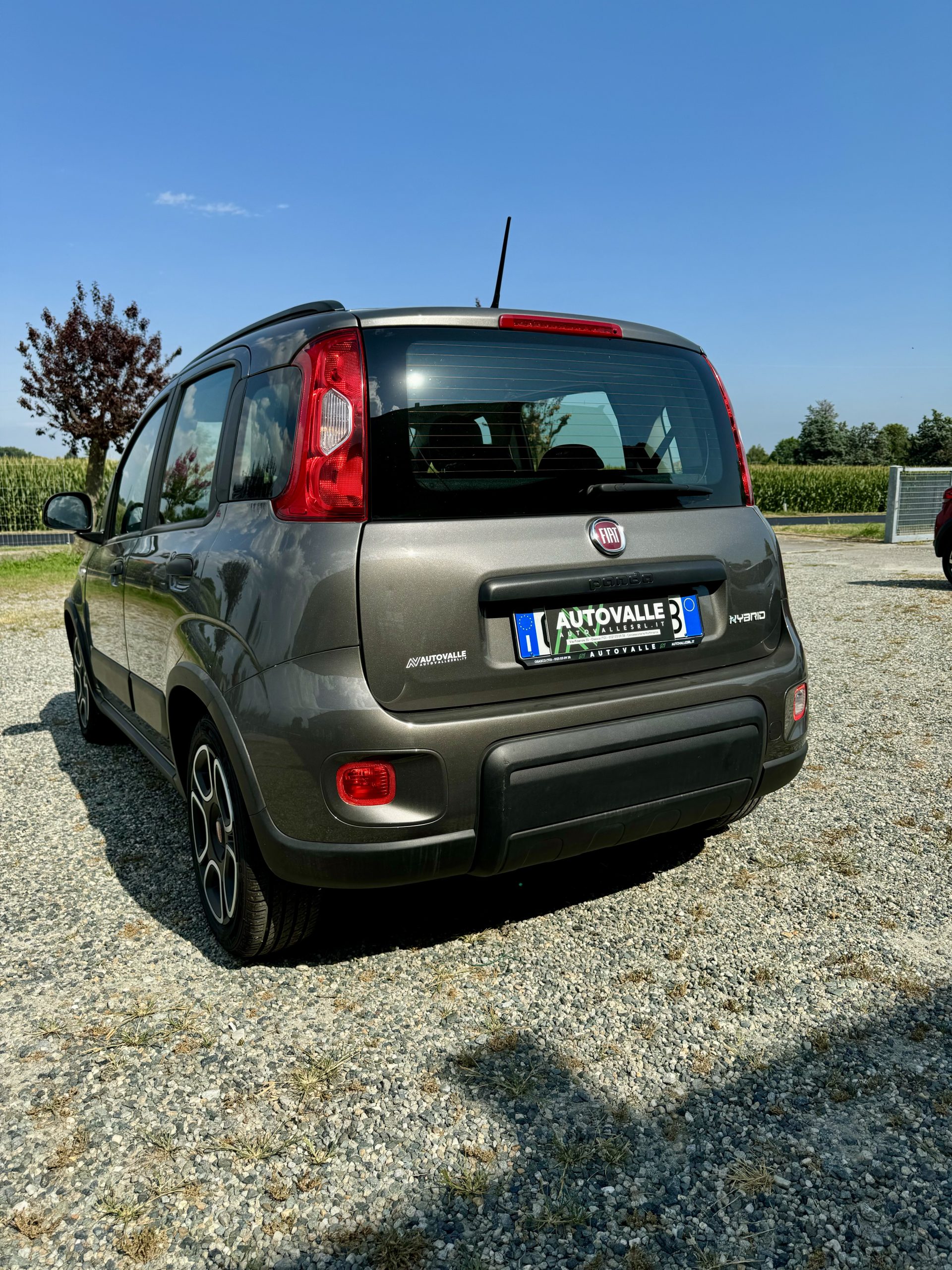 FIAT PANDA 1.0 FireFly 70cv Hybrid City Life