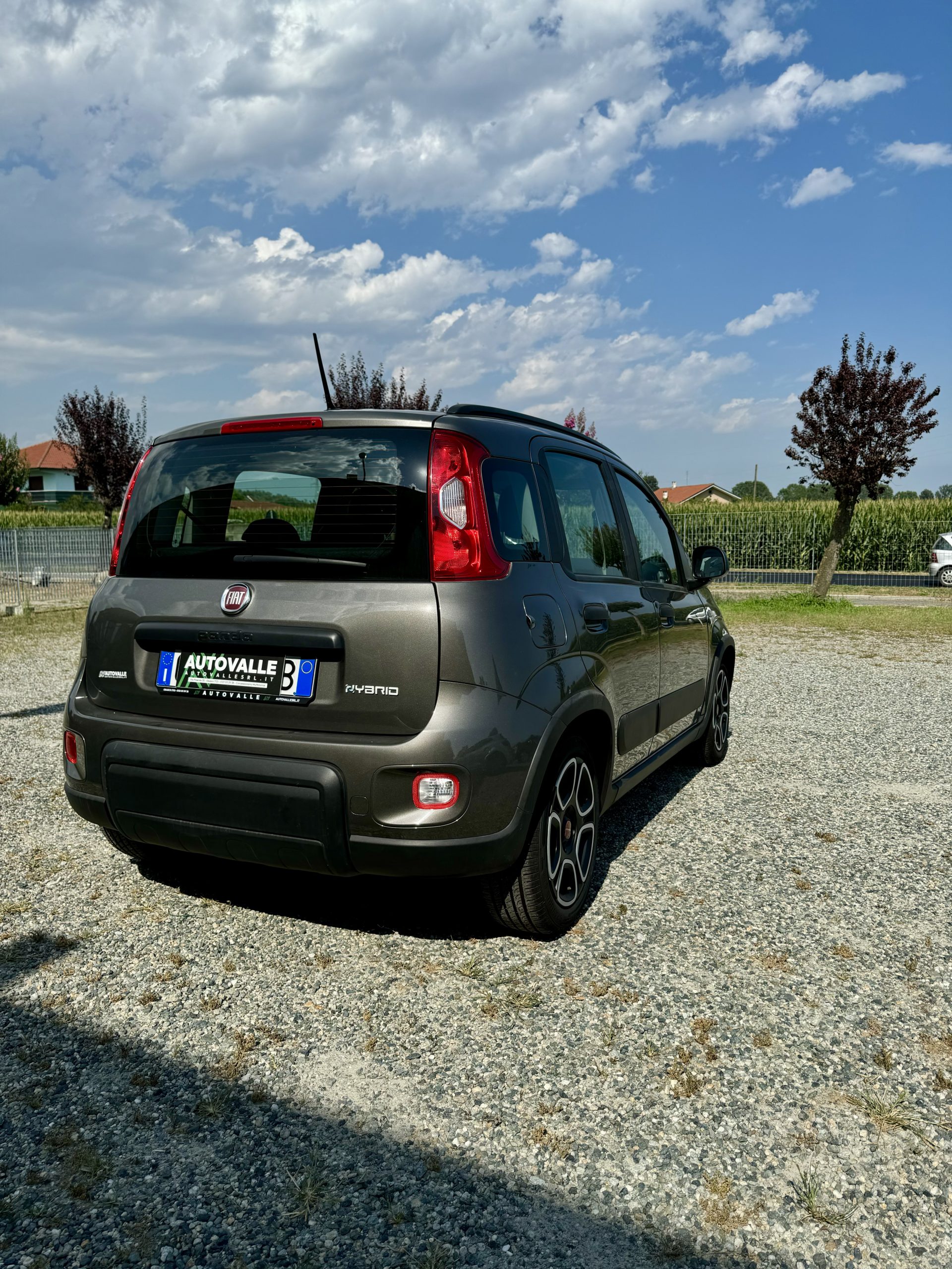 FIAT PANDA 1.0 FireFly 70cv Hybrid City Life